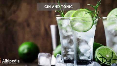 The gin and tonic — Easy, fast and refreshing