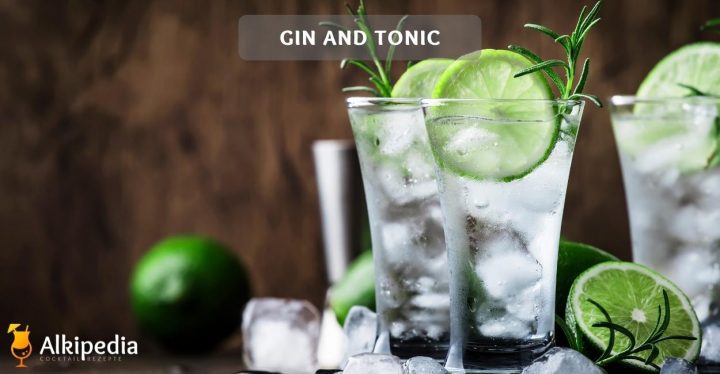 Gin and tonic with lime