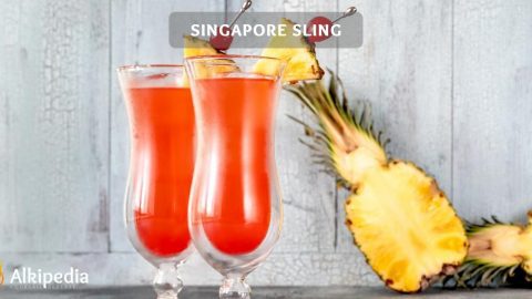 The Singapore Sling – The classic with exotic roots