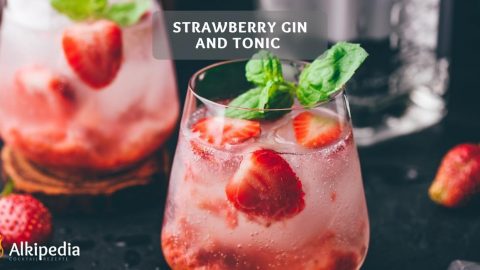A refreshing gin and tonic cocktail — Strawberry gin and tonic