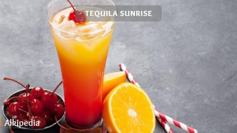 Tequila Sunrise — Party cocktail with a summer feeling