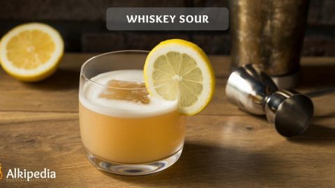 Whiskey Sour Cocktail — The King of cocktails