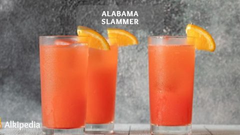 Alabama Slammer Cocktail – A delicious fruity drink