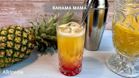 Bahama Mama — Fruity cocktail delight with a tiki touch