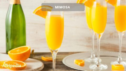 Mimosa Cocktail – Far more than just a brunch cocktail