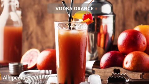 Vodka Orange – The refreshing classic